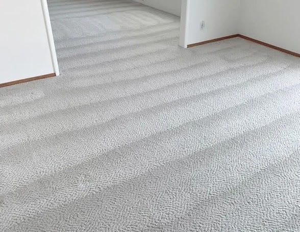Carpet Cleaning 1